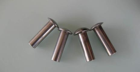 不锈钢301外迫壁虎 特性、应用与选购指南